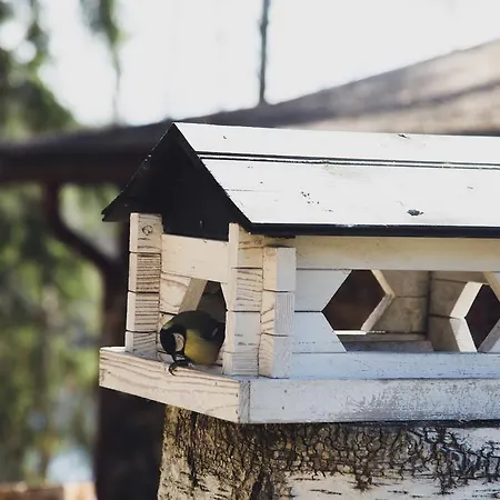 In 펜션 쿠산코스키