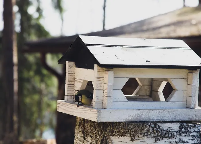 In Semesterbostad Kuusankoski